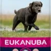 Eukanuba Caring Senior Large Breed Kip - Hondenvoer - 15 Kg