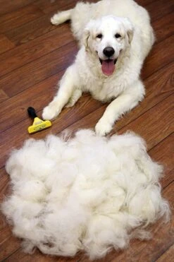 Furminator® Hond Langhaar - Vermindert Haaruitval Tot 90% - Hondenborstel - L -Honden Huis Winkel 800x1200 3