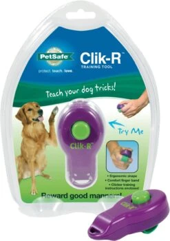 Petsafe Clicker Voor Training -Honden Huis Winkel 846x1200 1
