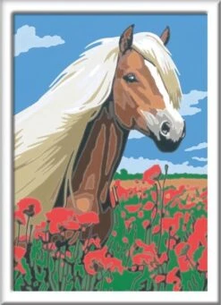 Ravensburger Schilder Op Nummer 3in1 Set Dieren -Honden Huis Winkel 868x1200 5