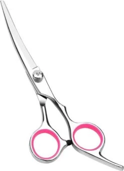 Professor Q - Hondenschaar Krom - Krommende Hondenschaar Rechts - Professionele Hondenschaar -Honden Huis Winkel 875x1200