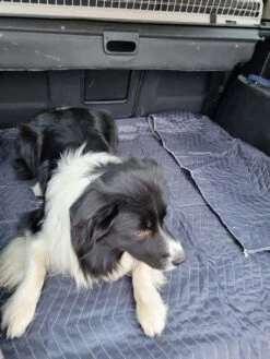 Luxe Hondendeken 200 X 150 Cm Auto Achterbank Kofferbak Vuilafstotend & Beschermend 6 Luxe Hondendeken 200 X 150 Cm Auto Achterbank Kofferbak Vuilafstotend & Beschermend -Honden Huis Winkel 900x1200 12