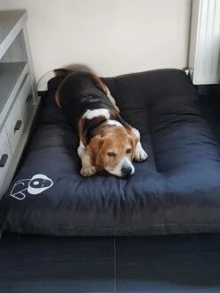 Hondenkussen XL - Donkergrijs - 60 X 90 X 12 13 Hondenkussen XL - Donkergrijs - 60 X 90 X 12 -Honden Huis Winkel 900x1200 13