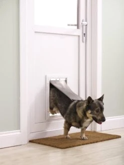Petsafe 660 Hondenluik - Tot 100 Kg - Aluminium -Honden Huis Winkel 900x1200 20