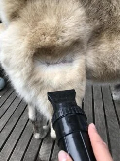 Waterblazer Hond - Hondendroger 12 Waterblazer Hond - Hondendroger -Honden Huis Winkel 900x1200