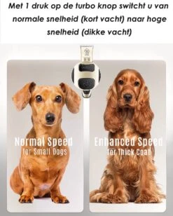 Joyage Professionele Hondentondeuse Voor Dikke Vacht – Honden Tondeuse & Hondentrimmer Tondeuse – Stille Tondeuse Katten & Honden Trimset Lang Haar – Trimmer Hond - Hondentondeuse Draadloos - Tondeuse Voor Honden - Tondeuse Hond Dikke Vacht -Honden Huis Winkel 962x1200 3