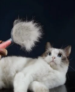 Pakeway T9 - Kattenborstel - Zelfreinigende Kattenkam - Groen - Massageborstel - 19,3 Cm -Honden Huis Winkel 983x1200