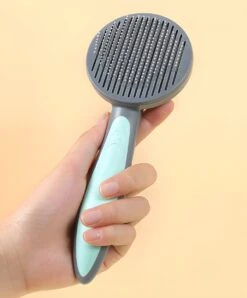 Pakeway T9 - Kattenborstel - Zelfreinigende Kattenkam - Groen - Massageborstel - 19,3 Cm -Honden Huis Winkel 995x1200