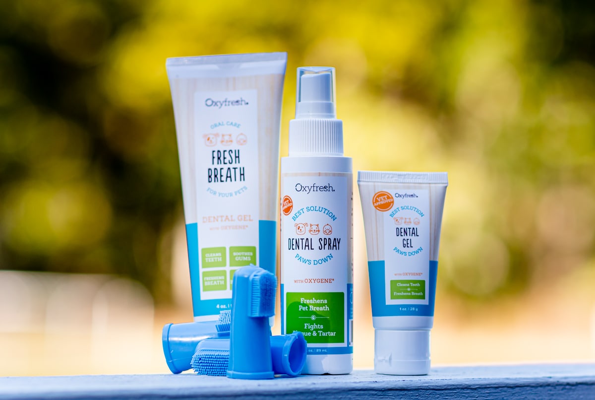 Honden Huis Winkel -Honden Huis Winkel